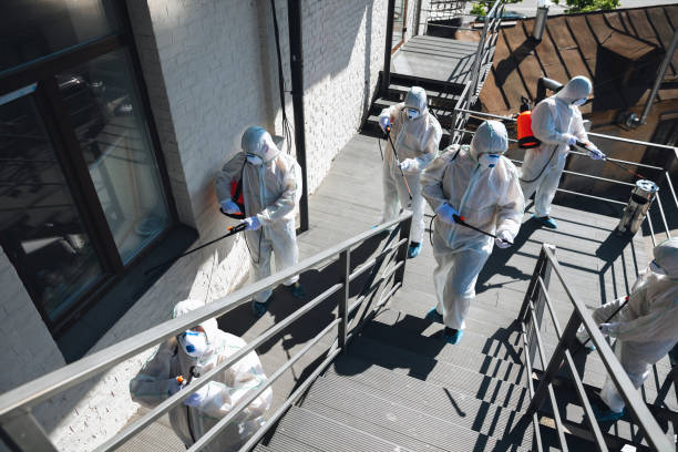 Trusted Melrose, MA Mold Removal Experts