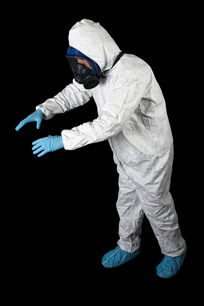 Best Environmental Consulting for Mold Prevention  in Melrose, MA